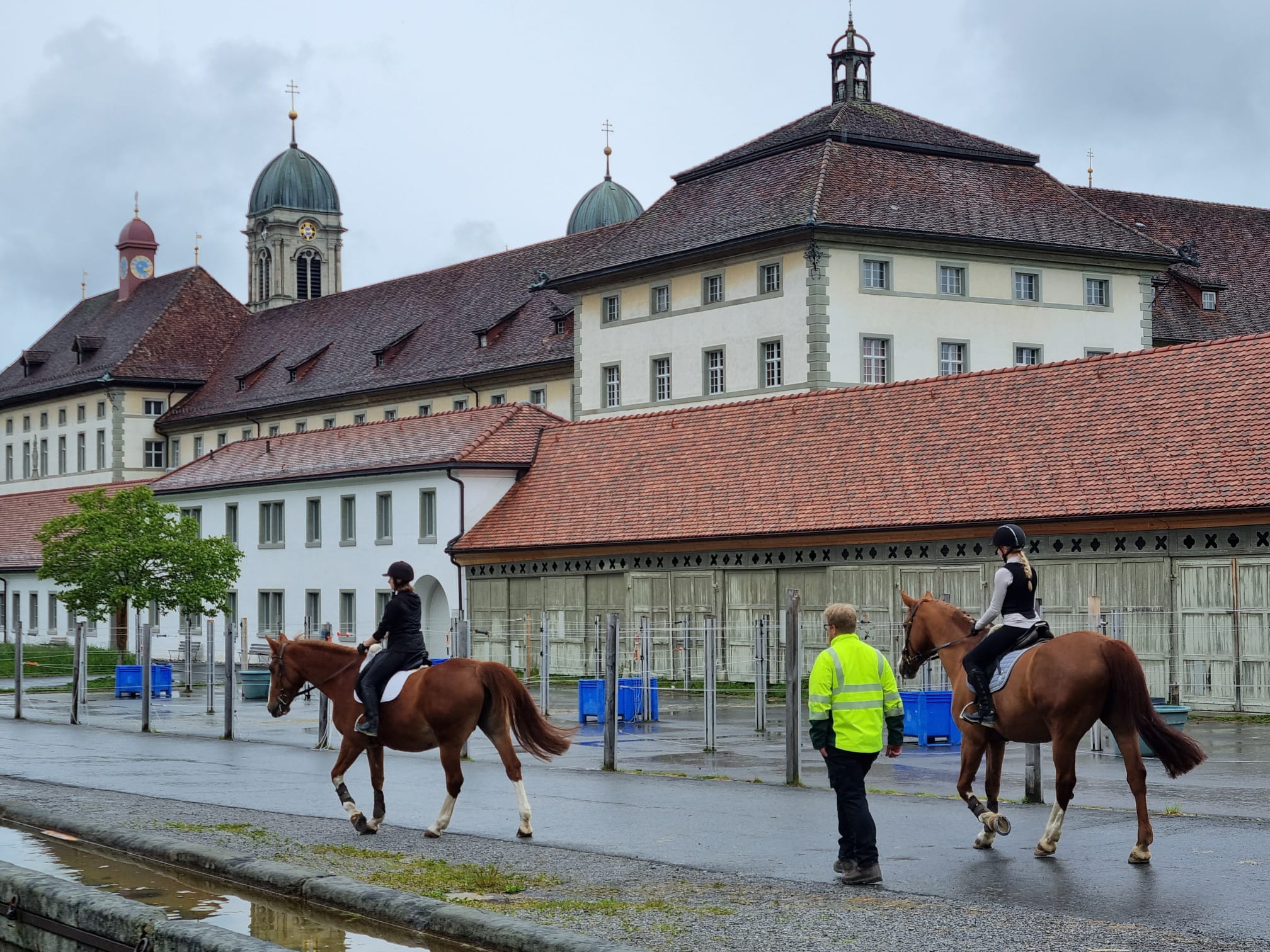 Reiten im öffentlichen Raum 2